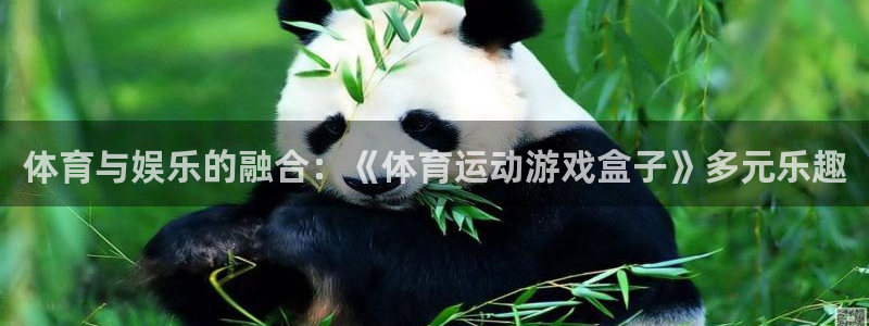 中欧体育kok：体育与娱乐的融合：《体育运动游戏盒子》多元乐趣