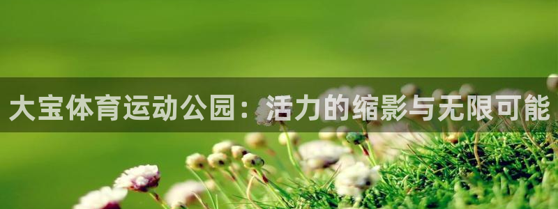 kok新版中欧体育：大宝体育运动公园：活力的缩影与无限可能