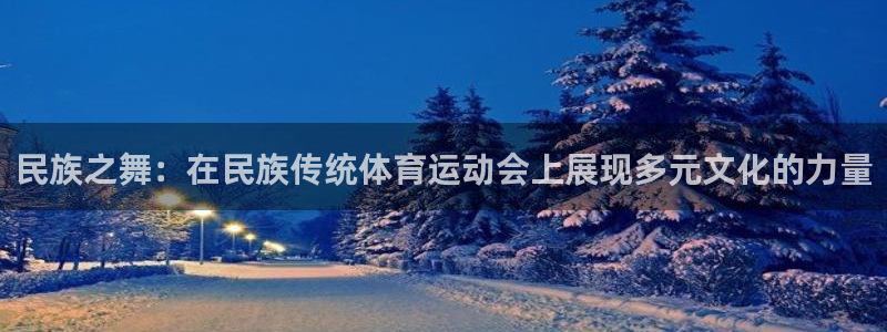 中欧体育：民族之舞：在民族传统体育运动会上展现多元文化的力量