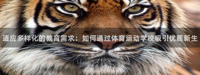 中欧体育ac米兰