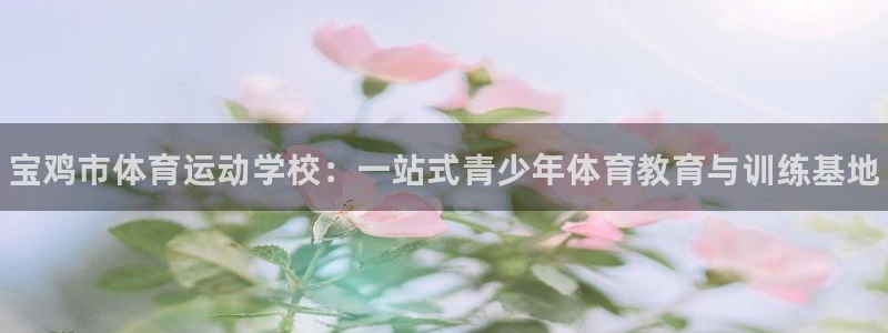 中欧体育全站app：宝鸡市体育运动学校：一站式青少年体育教育与训练基地