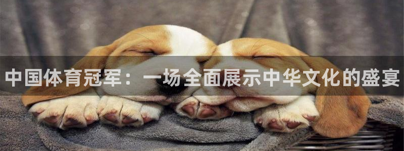 中欧体育下载：中国体育冠军：一场全面展示中华文化的盛宴