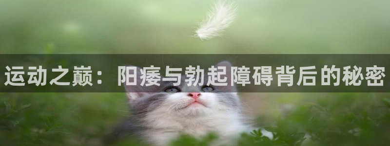 中欧体育网页版：运动之巅：阳痿与勃起障碍背后的秘密