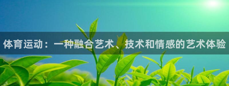 kok新版中欧体育：体育运动：一种融合艺术、技术和情感的艺术体验
