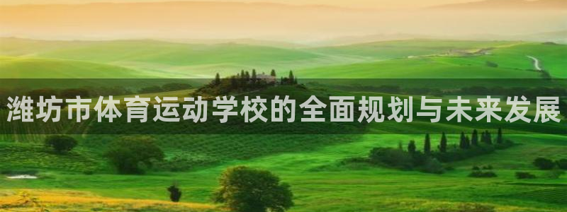 中欧体育网页版：潍坊市体育运动学校的全面规划与未来发展