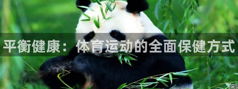 中欧体育在线：平衡健康：体育运动的全面保健方式
