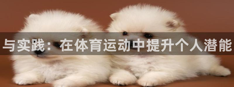 中欧体育网址：与实践：在体育运动中提升个人潜能