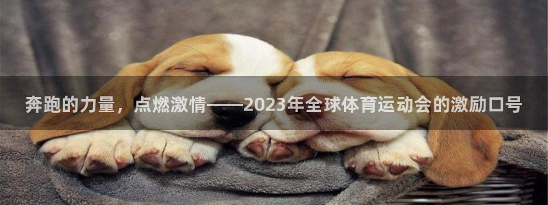 zoty中欧体育平台：奔跑的力量，点燃激情——2023年全球体育运动会的激励口号