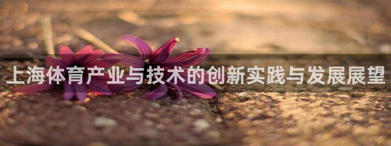 中欧体育app：上海体育产业与技术的创新实践与发展展望
