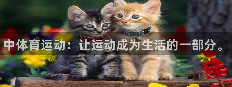 中欧体育下载：中体育运动：让运动成为生活的一部分。