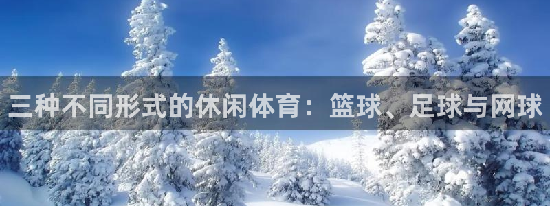 中欧体育网站：三种不同形式的休闲体育：篮球、足球与网球