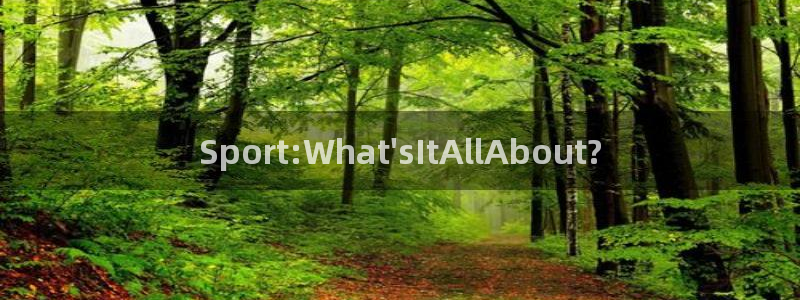 中欧体育全站app：Sport:What\'sItAllAbout?