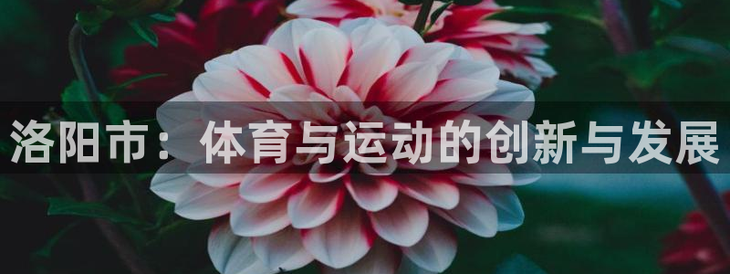 中欧体育kok：洛阳市：体育与运动的创新与发展