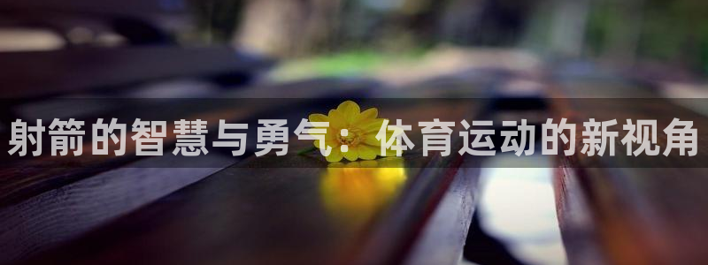 中欧体育集团：射箭的智慧与勇气：体育运动的新视角