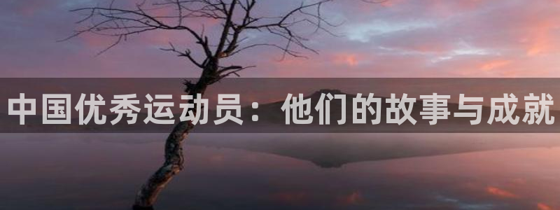 中欧体育ac米兰：中国优秀运动员：他们的故事与成就