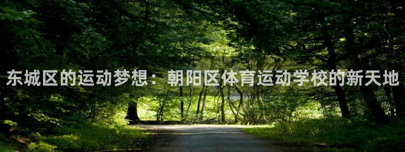 中欧体育kok官网首页：东城区的运动梦想：朝阳区体育运动学校的新天地