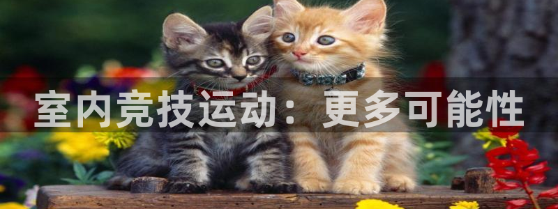 中欧体育登录：室内竞技运动：更多可能性