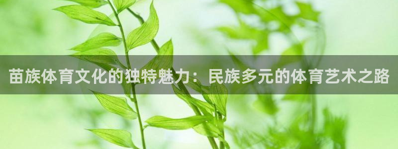 中欧体育下载：苗族体育文化的独特魅力：民族多元的体育艺术之路