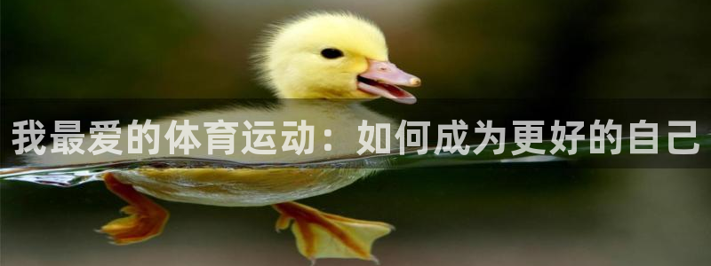 zyty中欧体育平台：我最爱的体育运动：如何成为更好的自己