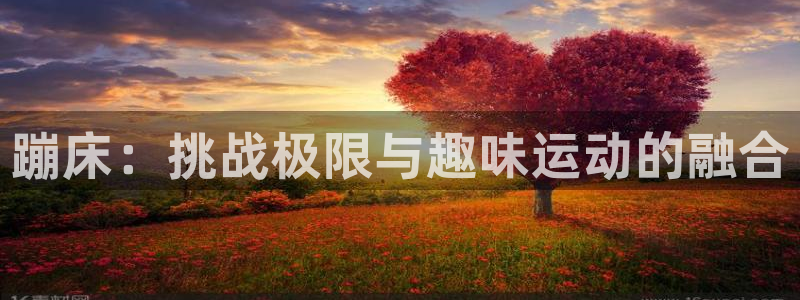 中欧体育网站：蹦床：挑战极限与趣味运动的融合