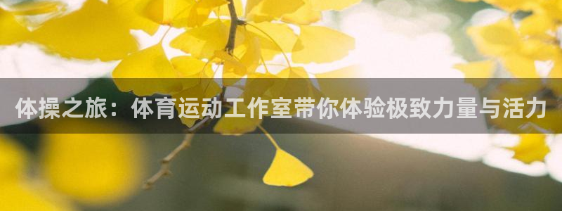 中欧体育ac米兰：体操之旅：体育运动工作室带你体验极致力量与活力