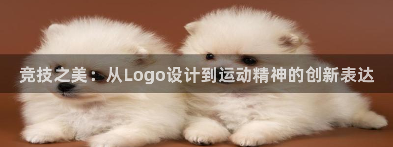 中欧体育app：竞技之美：从Logo设计到运动精神的创新表达