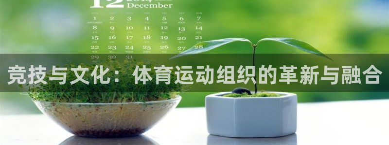 中欧体育网址：竞技与文化：体育运动组织的革新与融合