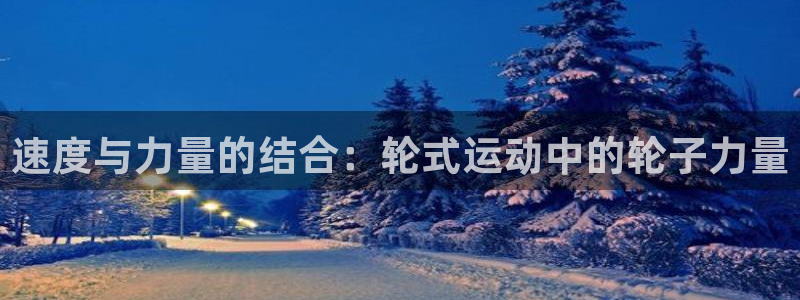 中欧体育kok：速度与力量的结合：轮式运动中的轮子力量